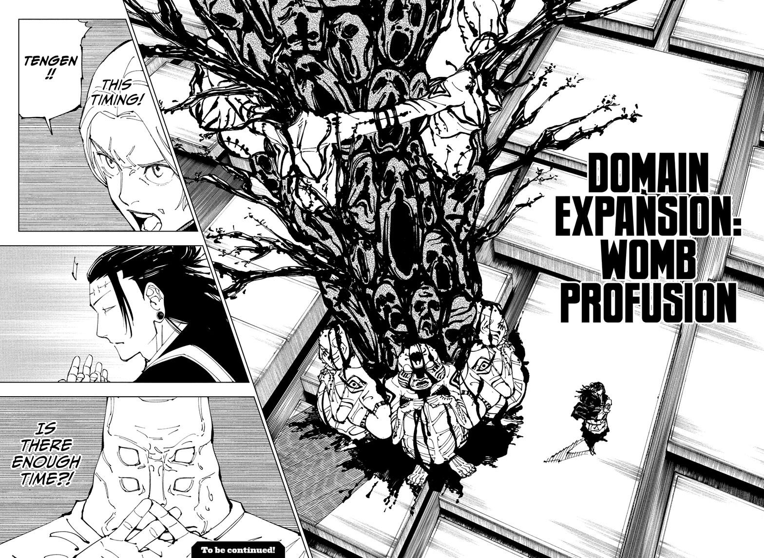 Read Jujutsu Kaisen Chapter-205 Page-017