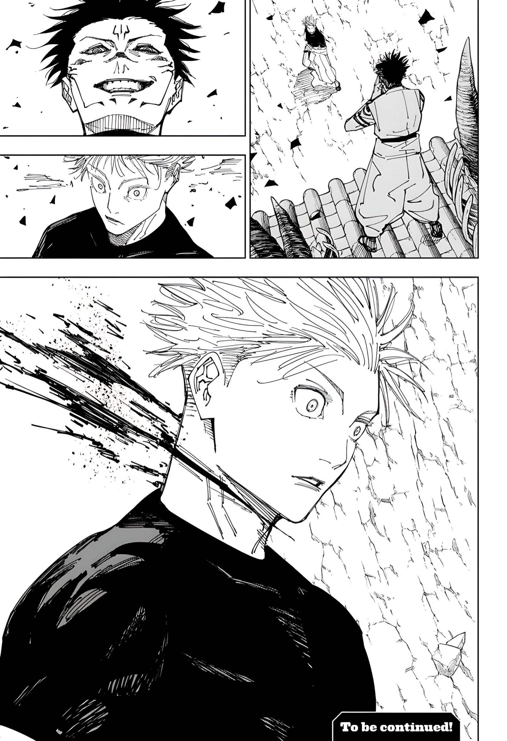 Read Jujutsu Kaisen Chapter-225 Page-017