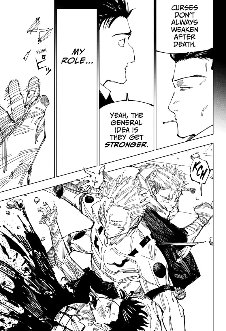 Read Jujutsu Kaisen Chapter-247 Page-017