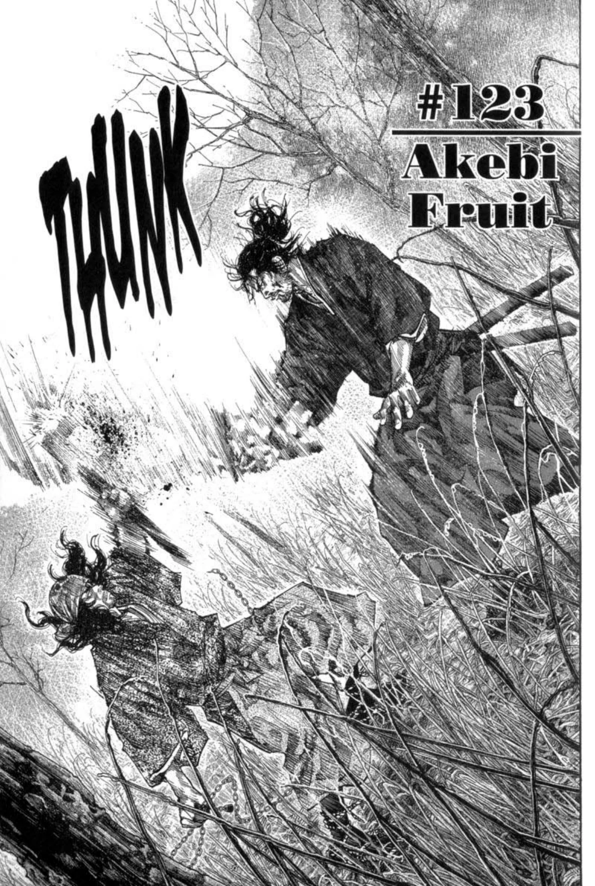 Read Vagabond Chapter-123 Page-001