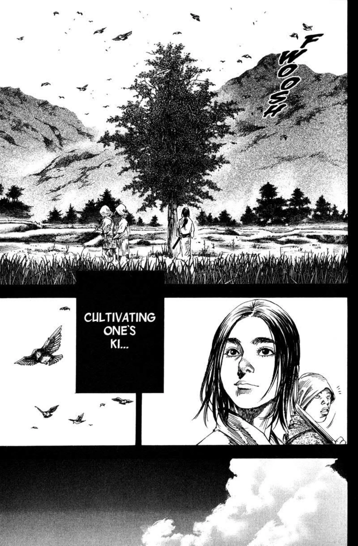 Read Vagabond Chapter-189 Page-014