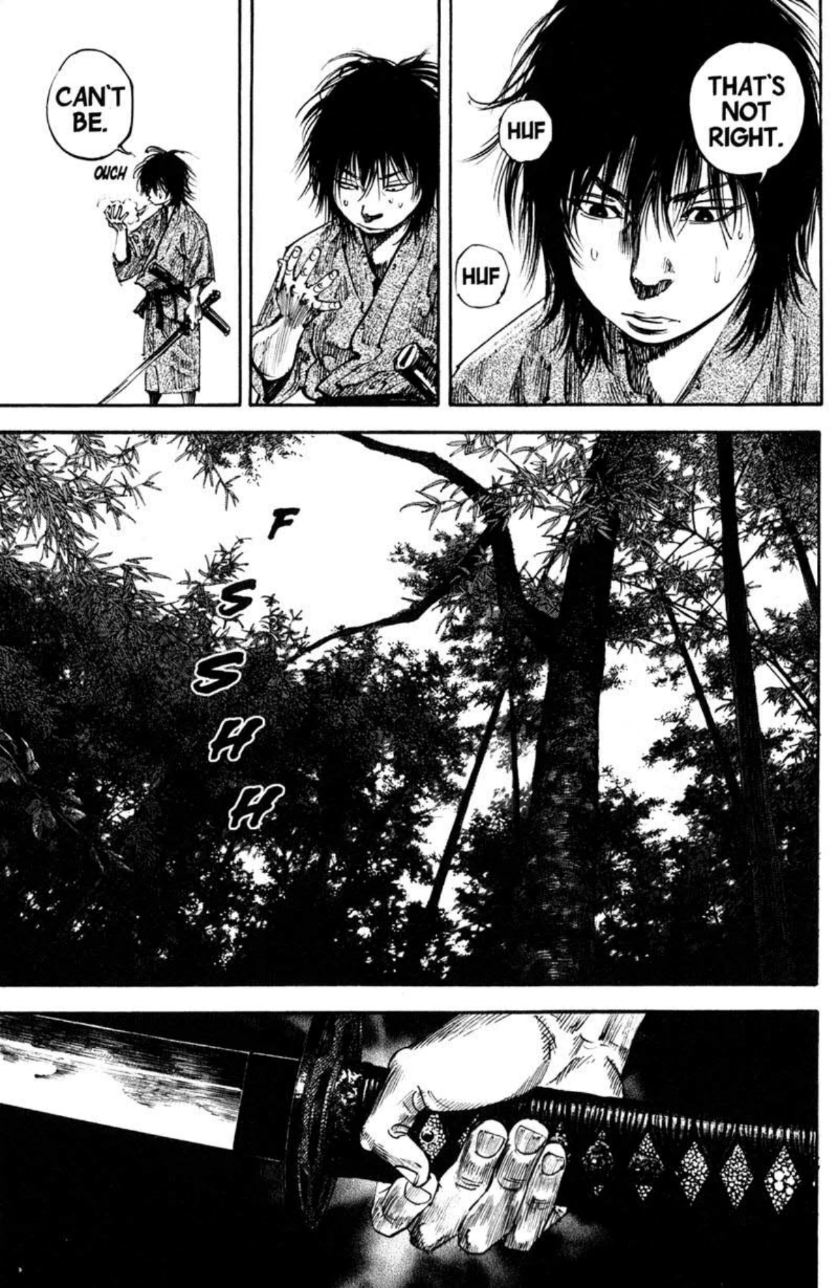 Read Vagabond Chapter-207 Page-010