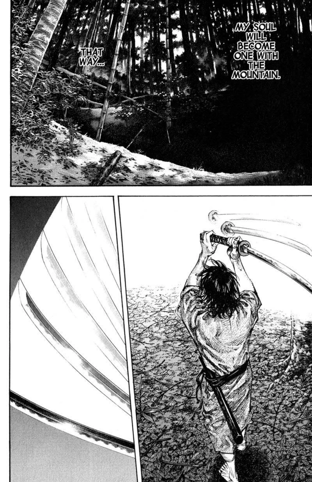 Read Vagabond Chapter-207 Page-015
