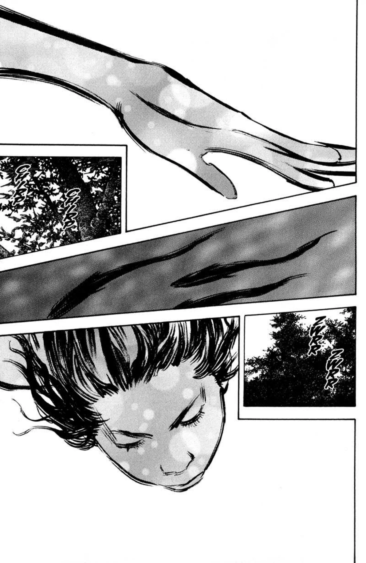 Read Vagabond Chapter-207 Page-024