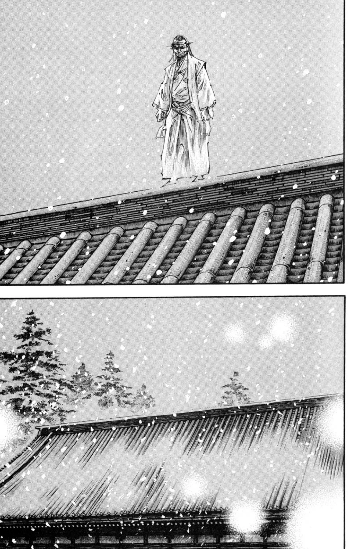 Read Vagabond Chapter-217 Page-013