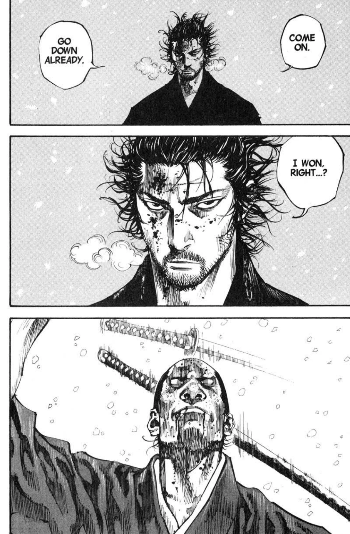 Read Vagabond Chapter-218 Page-013