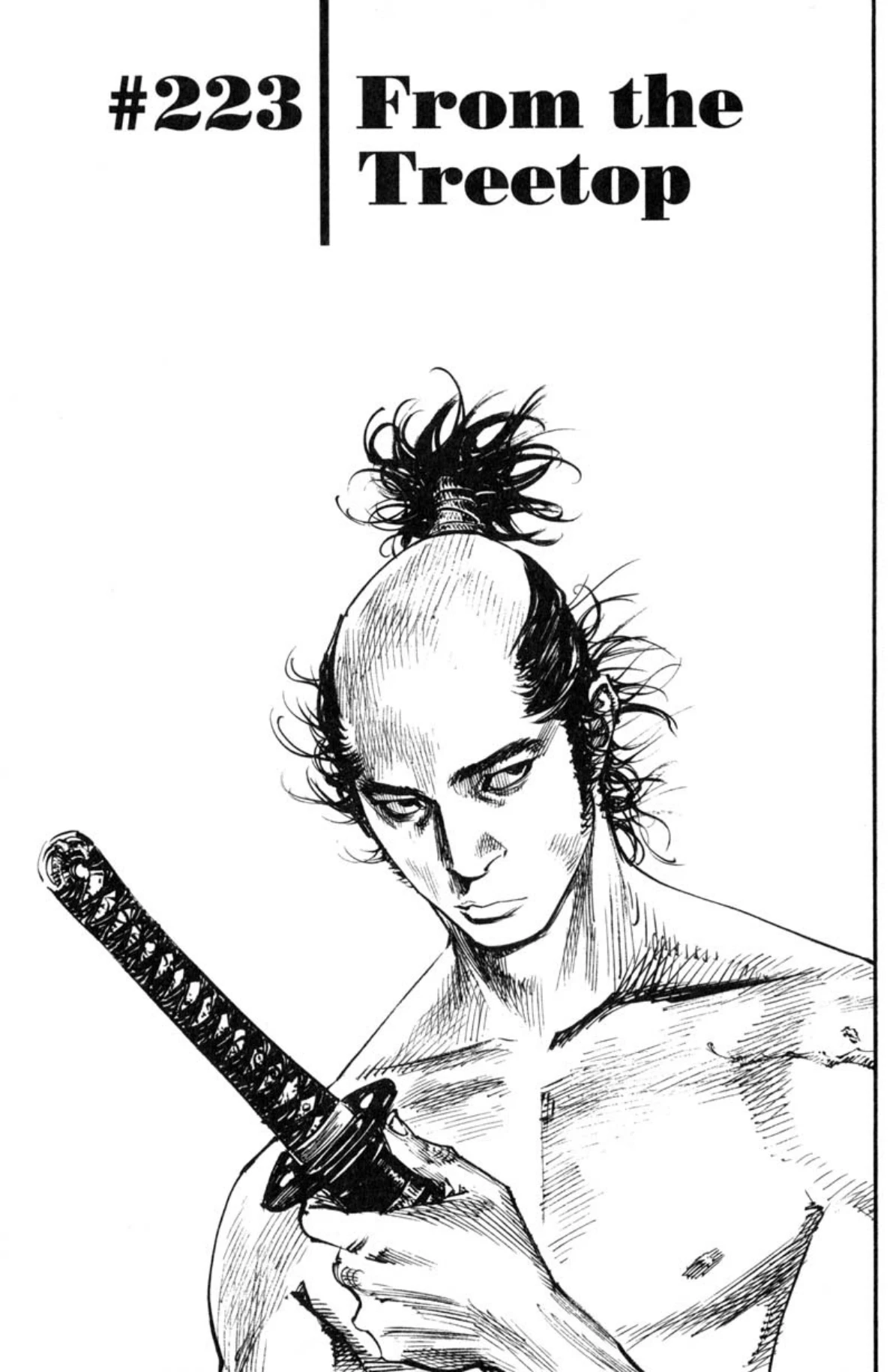 Read Vagabond Chapter-223 Page-001