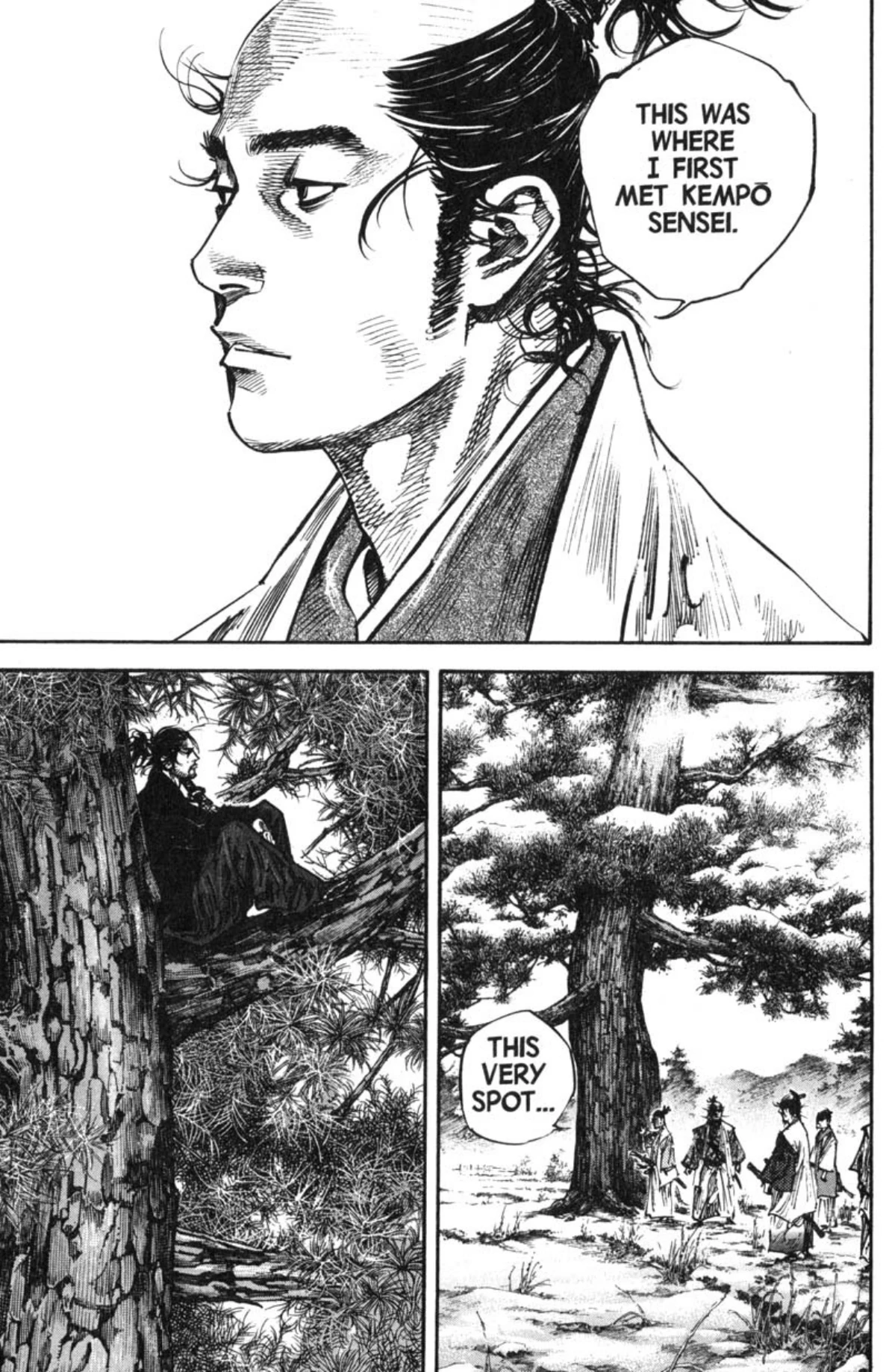 Read Vagabond Chapter-223 Page-003