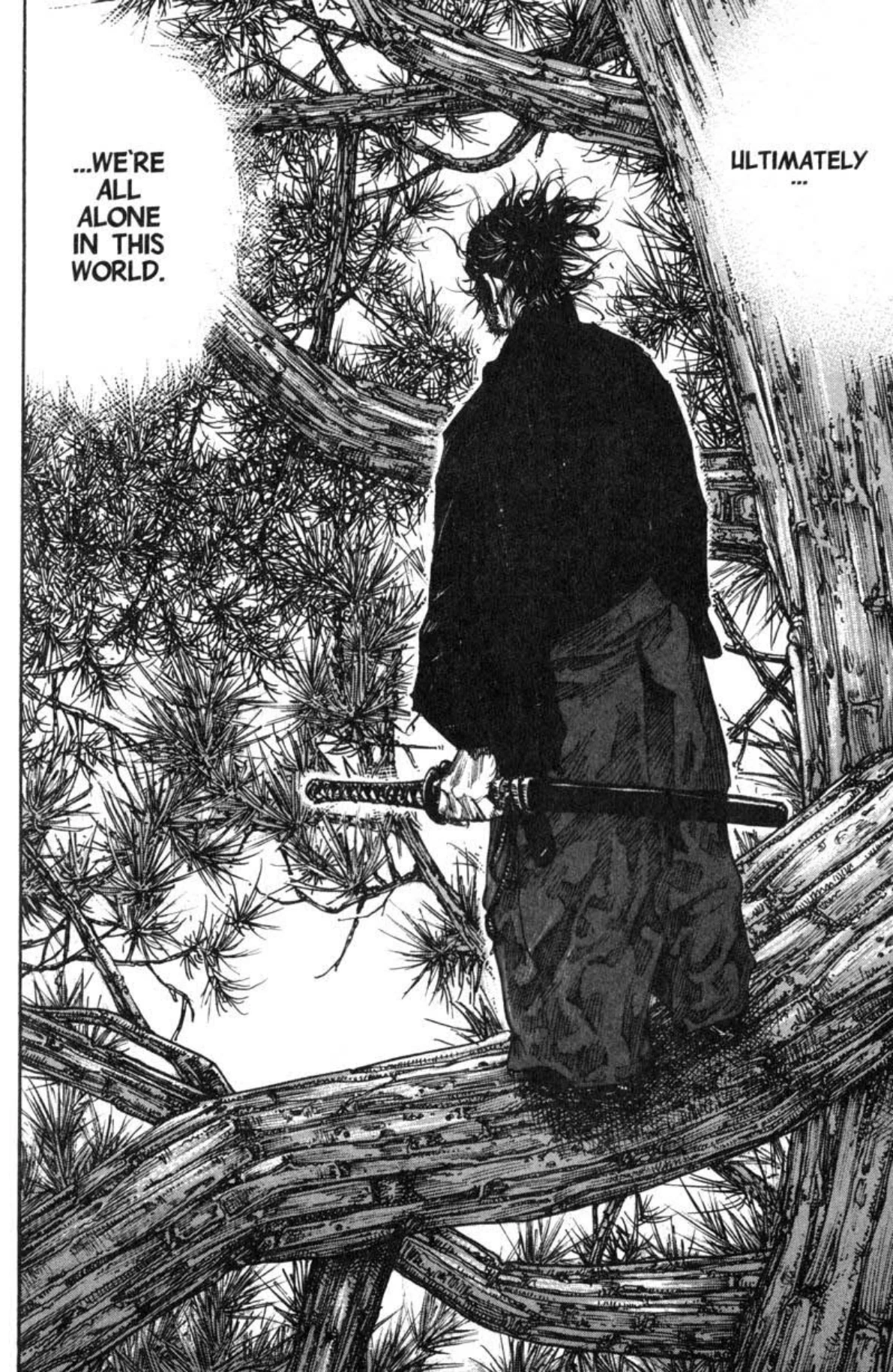 Read Vagabond Chapter-223 Page-012