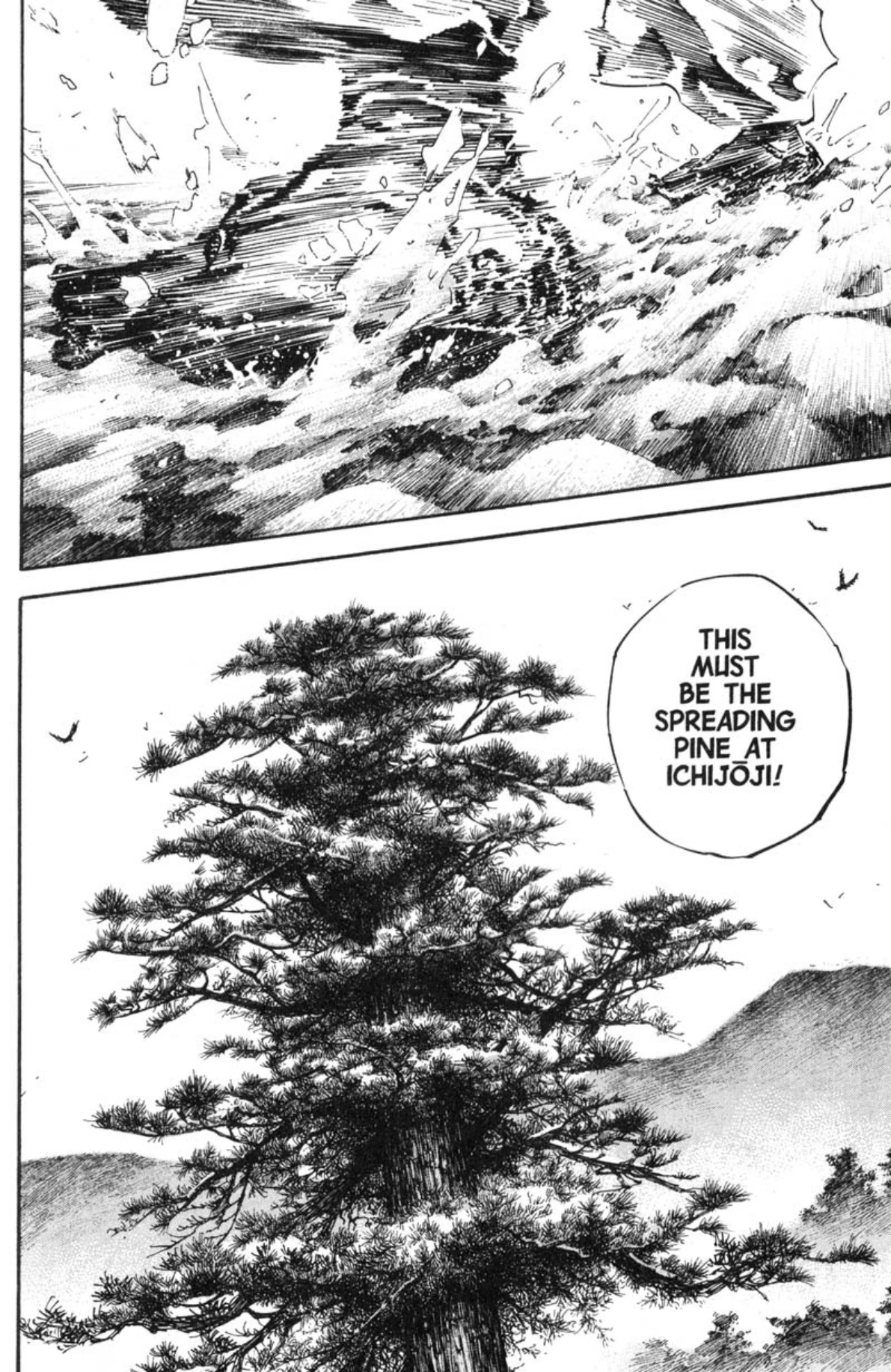 Read Vagabond Chapter-224 Page-009