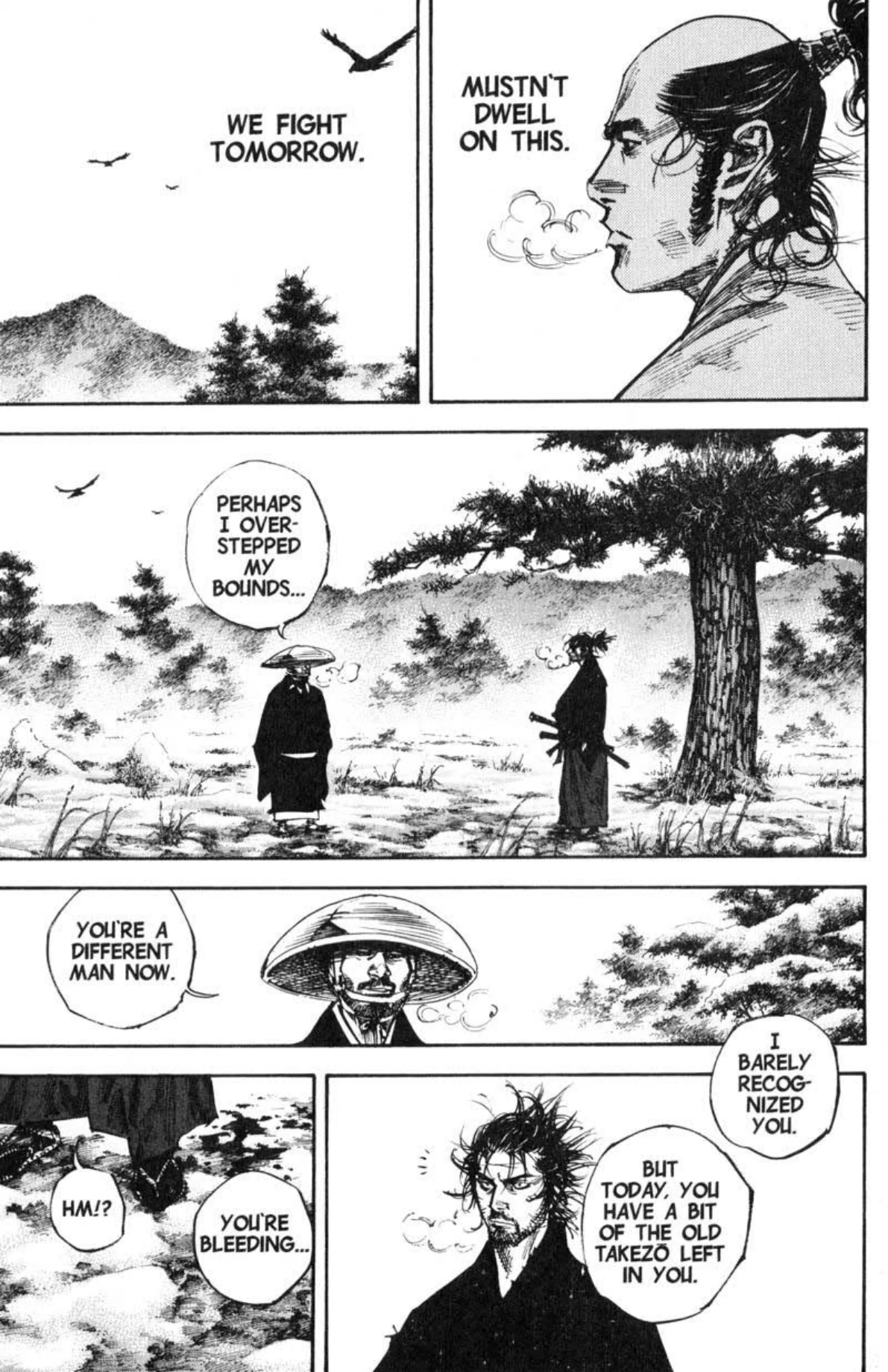 Read Vagabond Chapter-224 Page-012