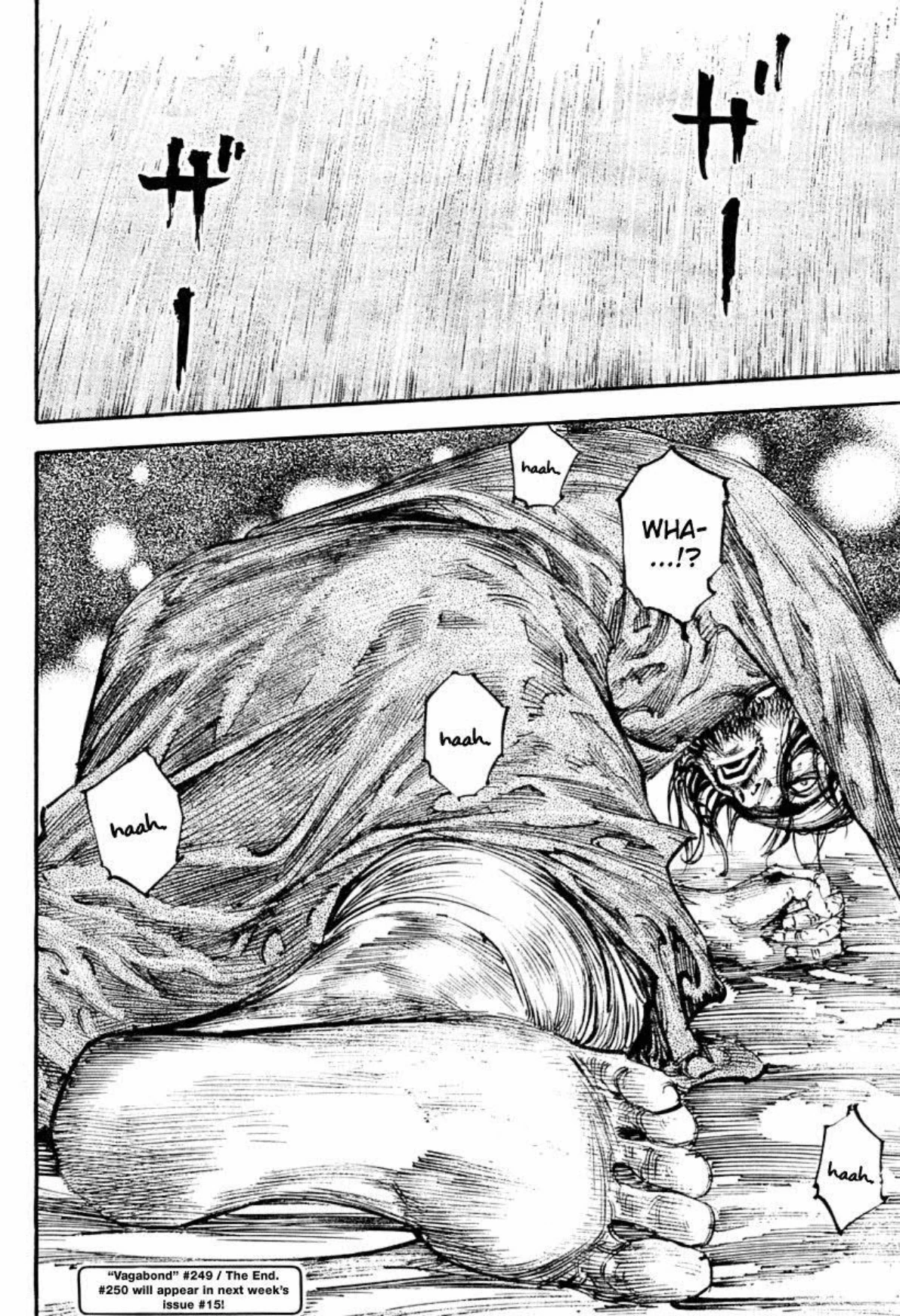 Read Vagabond Chapter-249 Page-020