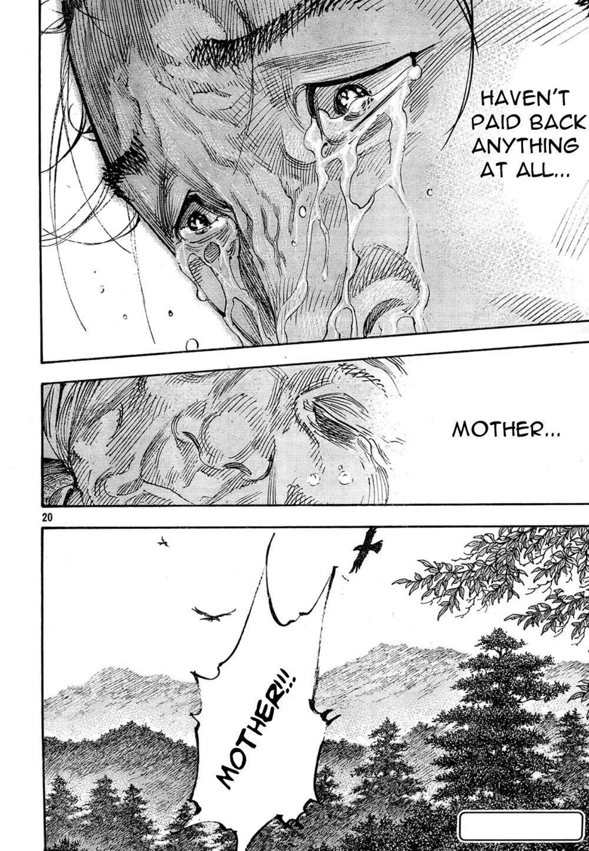 Read Vagabond Chapter-274 Page-017