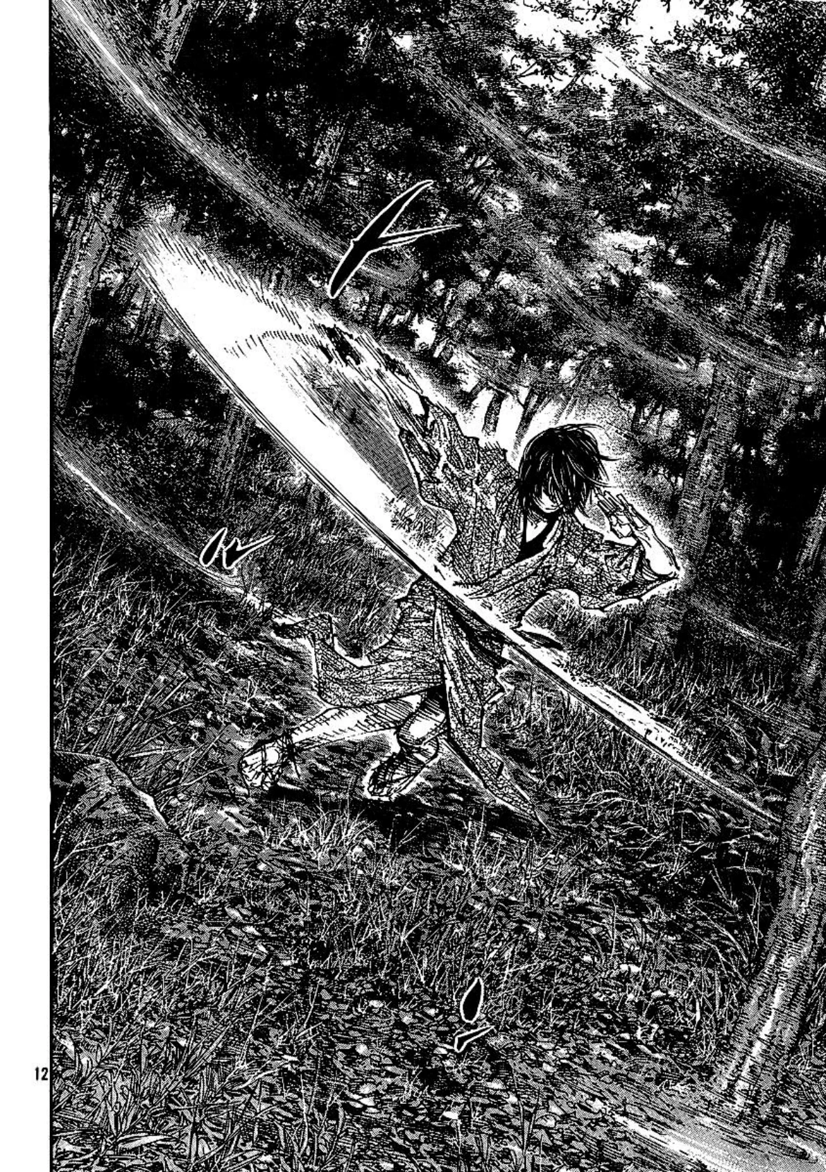 Read Vagabond Chapter-282 Page-012