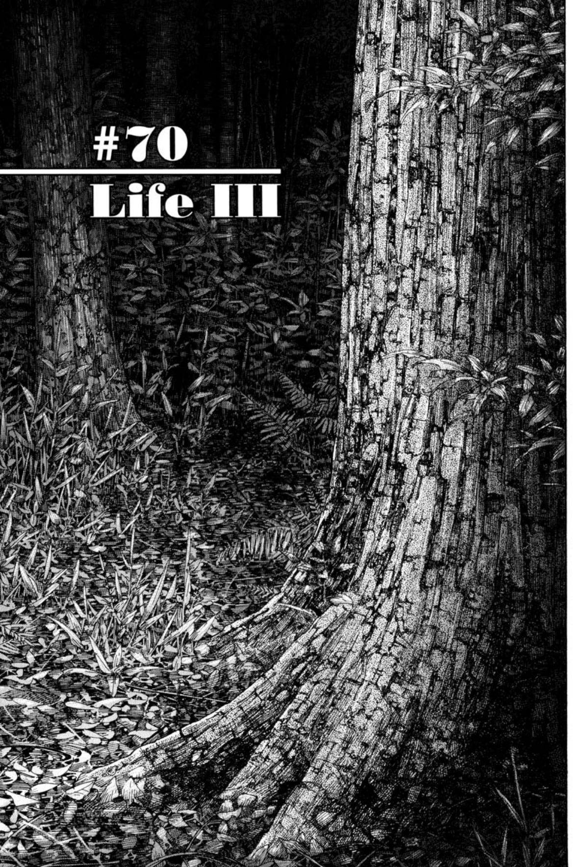 Read Vagabond Chapter-70 Page-001